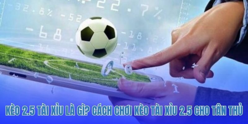 Kèo 2.5 Tài Xỉu Là Gì