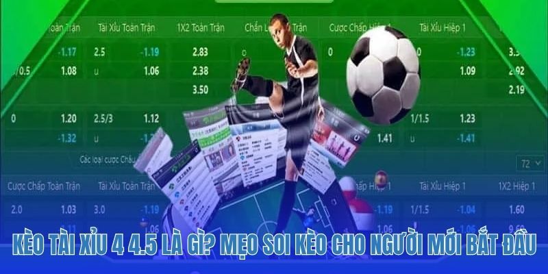 Kèo Tài Xỉu 4 4.5 Là Gì